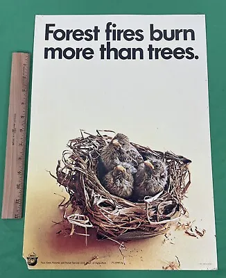 VINTAGE Poster Sign 1971 Smokey Bear 13 X18.5  Forest Fires Burn More Than Trees • $34.95