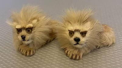 Vintage Pair Real Fur Miniature Lions Taxidermy Toy Figures Foo Dog Glass Eye 3  • $49.95