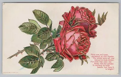 Greetings~Two Roses In Full Bloom~White To Happy~Vintage Postcard • $3.20