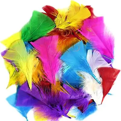 Coloured Feathers For Crafts Arts And Crafts For Crafting Hats Easter Bonnet • £2.99