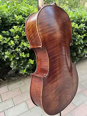 Nice Brown Master Cello 1/2SONG BrandSpruce Maple Wood Good Sound #15460 • $799