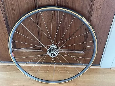 Campagnolo C-Record 8 Speed Rear Wheel With Araya Super Hard Rim.  Veloflex Tub • $199.99