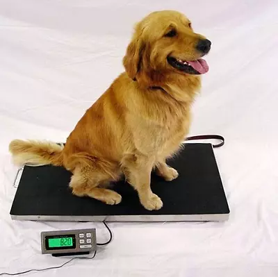 LW Measurements LVS-700 Veterinary Scale 700 X 0.2 Lb Capacity 39  X 20  Platter • $424.95