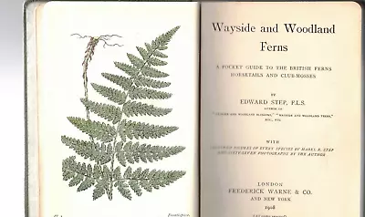 £27.95 • Buy WAYSIDE And WOODLAND  FERNS.  By  EDWARD STEP ~ 1908.