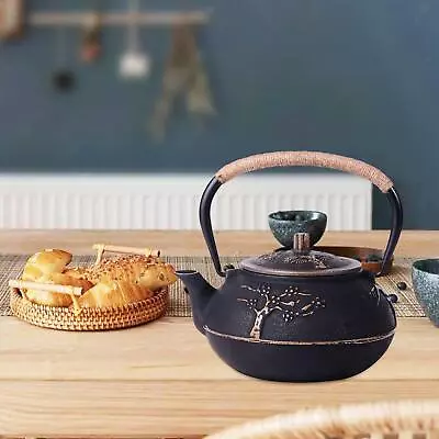 Cast Iron Teapot Heat Saving With Stainless Steel Infuser Durable Non Slip • $66.14