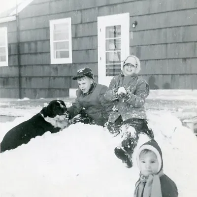 AC569 Original Vintage Photo PLAYING IN THE SNOW WITH DOG C 1961 • $5.50