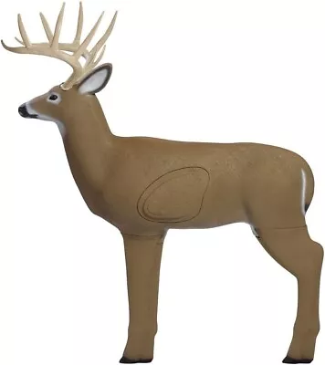 NEW Shooter Buck 3D Deer Archery Target • $104.95