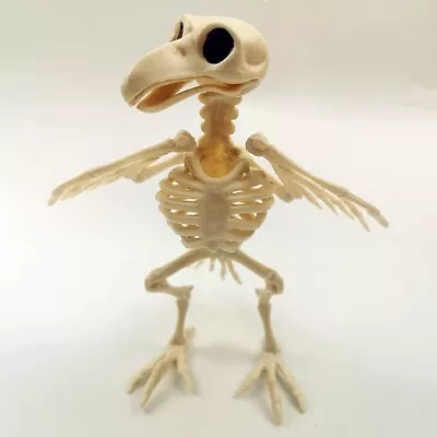 Halloween Animal Skeleton Bat Rat Cat Gecko Crow Party Decoration Spooky Prop • £6.47