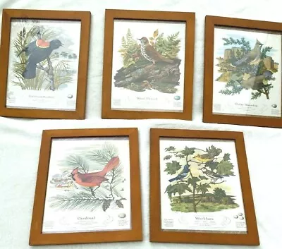 5 Bird Art Prints Brown Wood Framed By John Atherton For Morrell Calendar • $24.95
