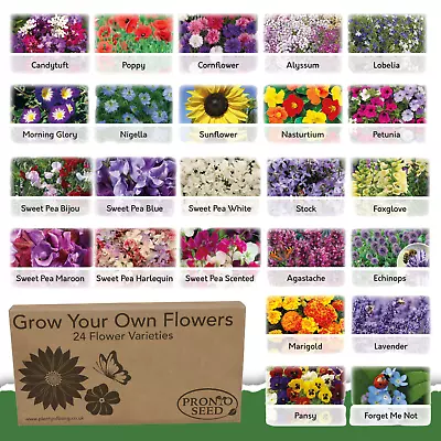 Flower Seeds UK | 24 Varieties | 3100 Seeds | Gardening Gifts Women | Men • £9.99