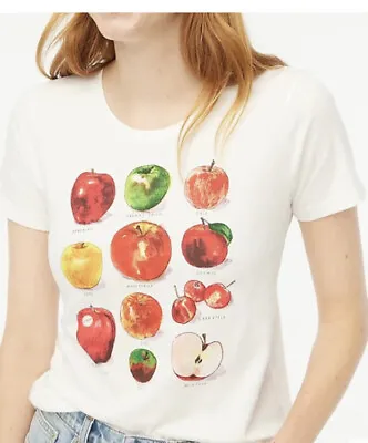 NWT J Crew Factory Women's Apple Grid Fall Apple Varieties Collector T Shirt XL • $34.99