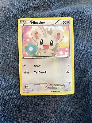 Pokémon TCG Minccino Black & White BW13 Holo Promo Promo Swirl • $5