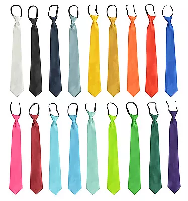 Plain Polyester Men's 2 Or 3 Inch Woven Pre-tied Zipper Necktie Various Colors • $9.99