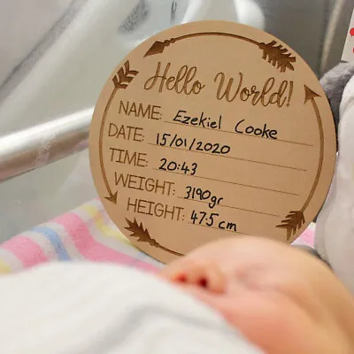 Hello World Plaque Baby Birth Announcement Discs New Baby Sign • $20.70