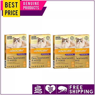 ADVOCATE Over 4 Kg PURPLE 3612 Doses For Cats Flea Heartworm Worm Prevention • $51.95