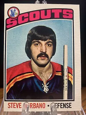 $1.49 • Buy 1976 Topps Steve Durbano #19 Kansas City Scouts