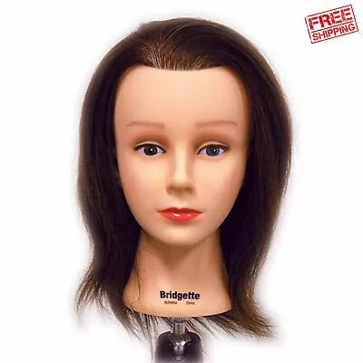 Celebrity Bridgette Budget Cosmetology Human Hair Manikin Manneqiun 16-17  Long • $36.99