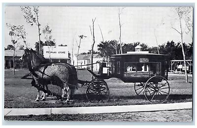 Lincoln Nebraska Postcard The Horse Drawn Hearse Of 1890 C1960s People's Store • $29.95