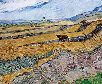 Enclosed Field With Ploughman Painting By Vincent Van Gogh Reproduction • $61.99