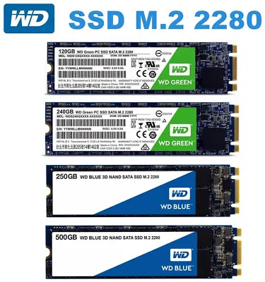 $39.95 • Buy SSD M.2 120GB 240GB 250GB 500GB 480GB WD Green Blue 2280 SATA Solid State Drive