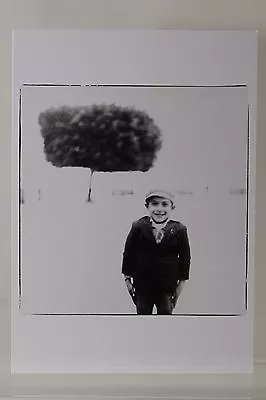 $5.38 • Buy RICHARD AVEDON: BOY AND TREE Art Postcard 