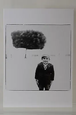 $5.23 • Buy Richard Avedon:  Boy And Tree  Art Postcard