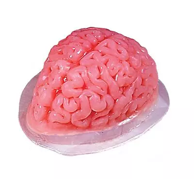 Brain Body Part Gelatin Jello Mold Haunted Halloween House Prop • $14.99