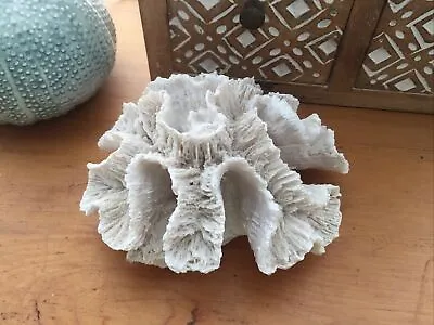 New Nautical Gisela Graham Sml Frill Faux Coral Resin Ornament Decoration Second • £8