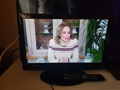 £89 • Buy 12V/240V LOGIK 19 INCH TV HD FREEVIEW HDMI Excellent Condition FOR CARAVAN