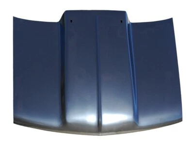 $819 • Buy Straight Cowl Hood AMD Fits S15 Jimmy S10 Blazer Sonoma S10 Pickup 300-4194-4