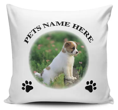 Personalised Cat / Dog / Pet / Any Name & Picture Cushion Cover - 40cm X 40cm • £7.99