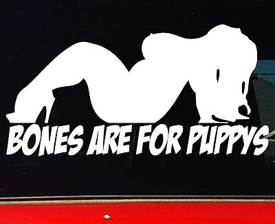 $6.90 • Buy Cute Sexy Cuddly Chicks Girl 4x4 Ute Car Funny Stickers BONES PUPPY 200mm