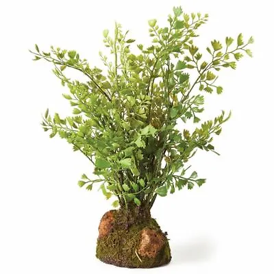 Maidenhair 11  Drop-In • $56.80