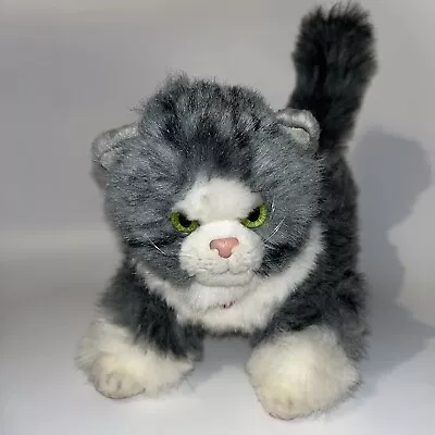 My Twinn Doll Poseable Pets Cat Plush Stuffed Animal 10  Gray/White Poseable • $18.99