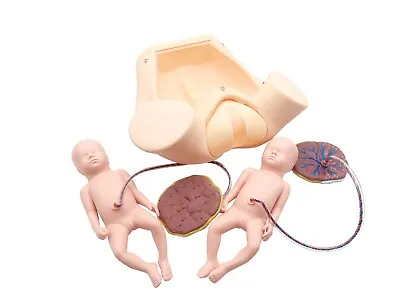 Advanced Medical Teaching Series Model Delivery Childbirth Mechanism Manikin • $698