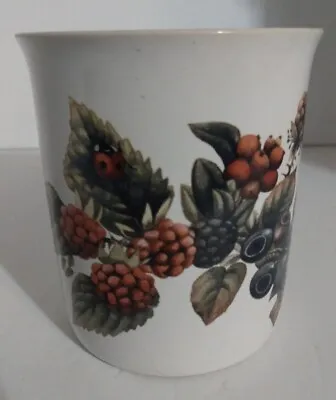 Marjolein Bastin Coffee Mug Cup Ceramic 1994 Hallmark Rasp Blue Berries Ladybug  • $8.80