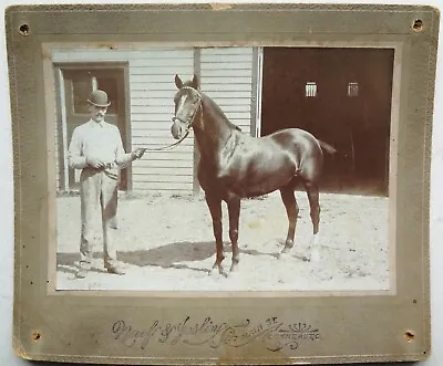 19thC HISTORIC PHOTO Of COB TAIL HACKNEY Pony HORSE- DON SEEVER - CONNEAUT OHIO • $28.77