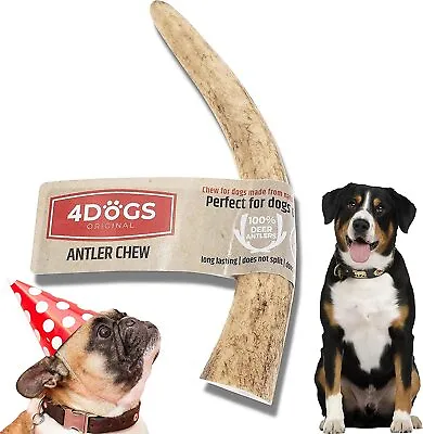 £7.56 • Buy Wild Deer Antler Chews For Dogs ,Strong & Long Lasting -Suitable For Puppies -UK