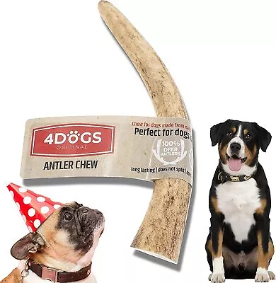 £7.56 • Buy Wild Deer Antler Chews For Dogs ,Strong & Long Lasting -Suitable For Puppies -UK