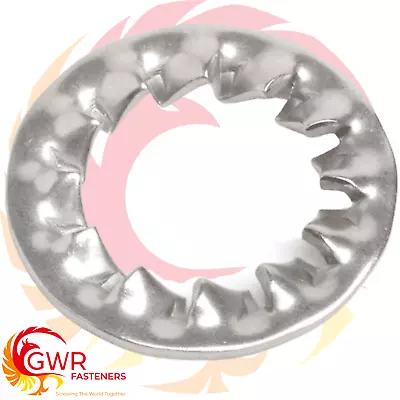 Internal Shakeproof Lock Washers Toothed Serrated Tooth A2 Stainless Steel Gwr • £2.71