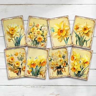 Daffodil Flowers Card Toppers Cardmaking Scrapbooking Tags Craft • £2.80