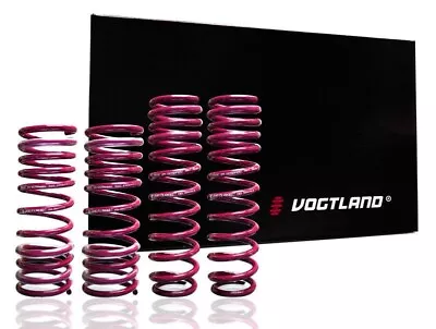 Vogtland Lowering Springs Mercedes Benz 87 - 95 W124 400e E420 E500 500e • $209.95