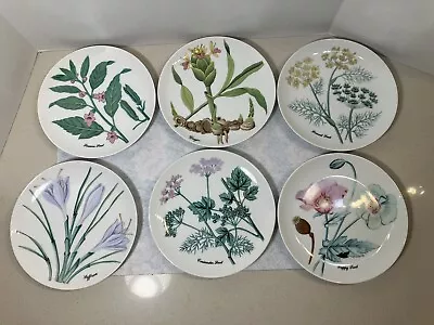 Horchow Botanical Herb Seed Plates 7 3/4  [Set Of 6] • $32.99