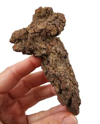 $9.99 • Buy Prehistoric Turtle Dung Coprolite Fossil Poop 126 Grams