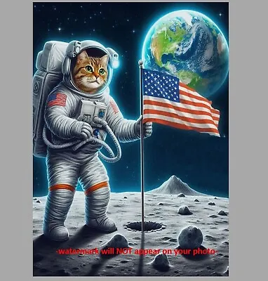 Kitty Cat Astronaut PHOTO Moon Landing Cats 5x7 Space Art Print Funny Decor • $5.78