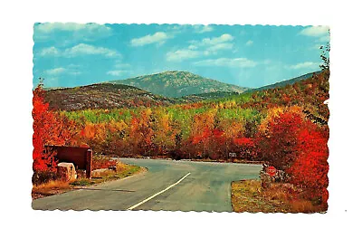 Cadillac Mountain Mt Desrt Island ME Postcard Autumn Maine Bar Harbor • $2.49