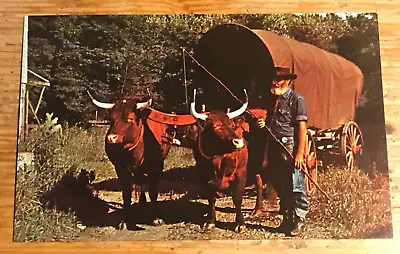 OXEN With COVERED WAGON Postcard - Montrose PA Pennsylvania Penn Farm Farming • $8.39