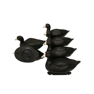 $129.99 • Buy Mojo Coot Confidence Decoy 6 Pack