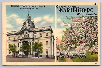 Vintage Postcard WV West Martinsburg Berkeley County Court House Sheep -3678 • $1.93