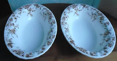 2 X Minton China Ancestral S376 Large Oval Serving Bowls For Veg Or Pasta • £6